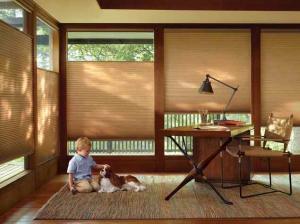 Duette Honeycomb Shades - India Silk